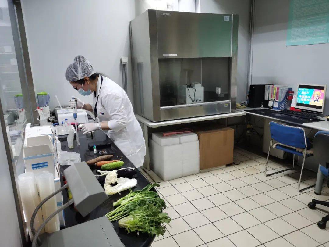 木鱼镇食品检测实验室装修方案